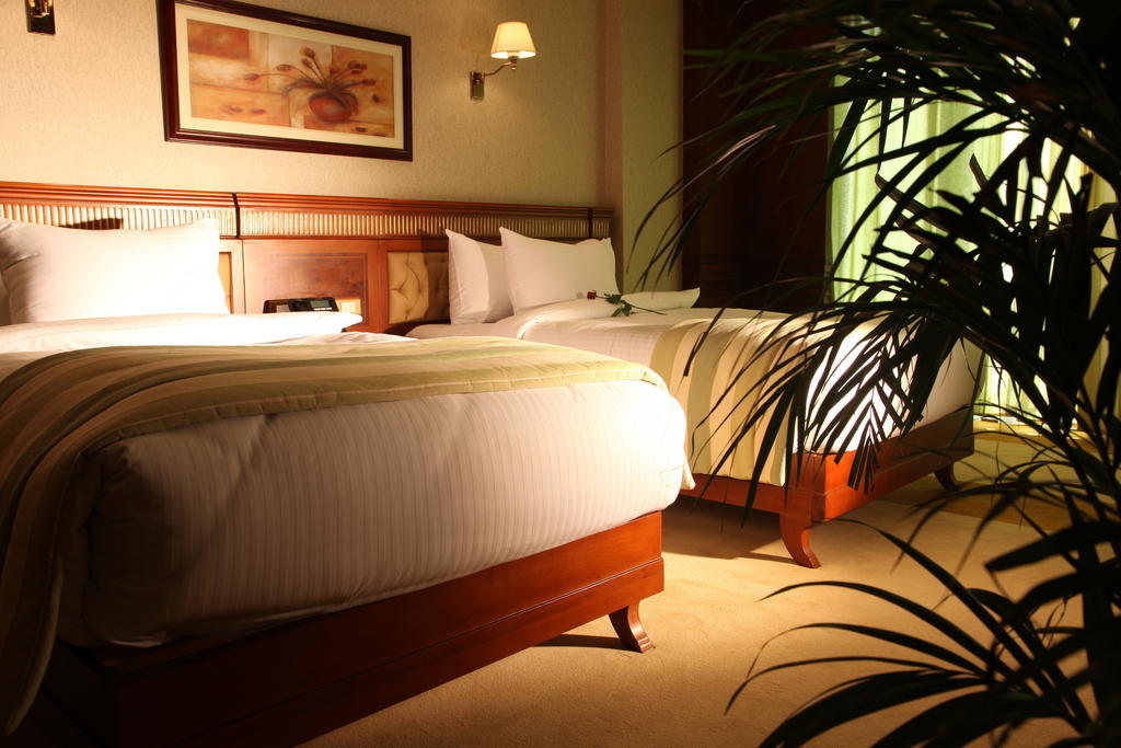 Helnan Landmark Hotel Каир Номер фото